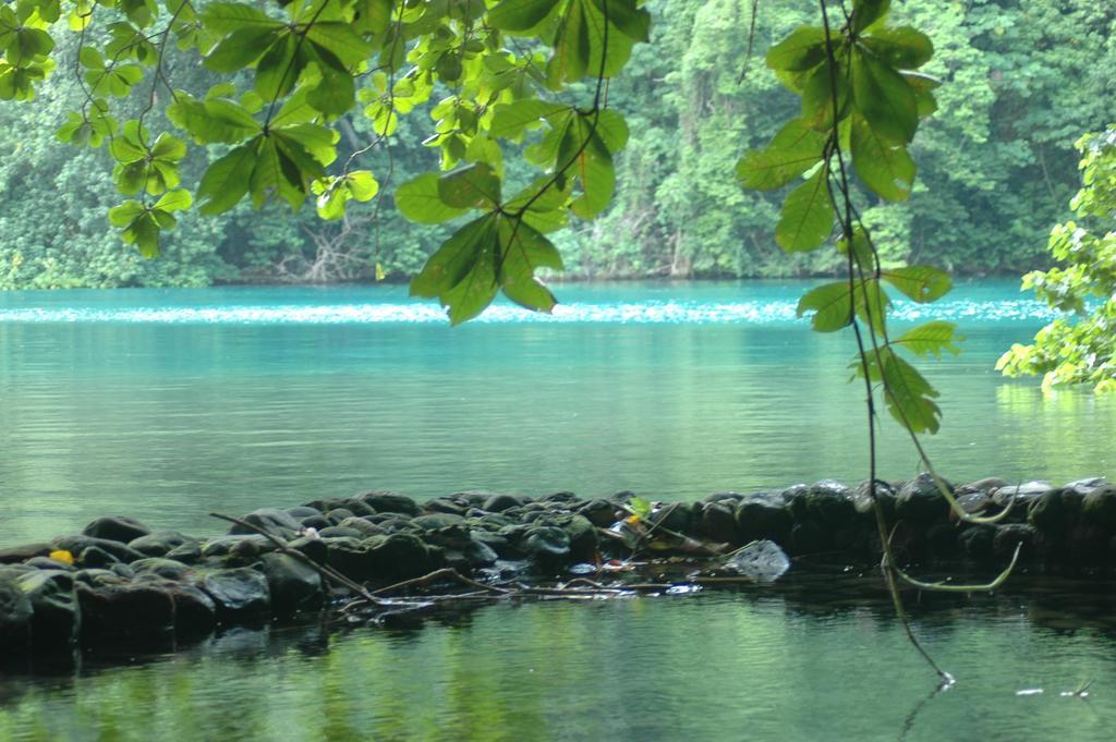 Moon San Villa At The Blue Lagoon Port Antonio Exterior foto